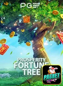 Usuário acessando mesas ao vivo na pagbet