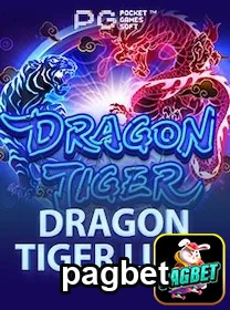 Jogo 'Dragon Tiger' no pagbet com suporte para VIPs.
